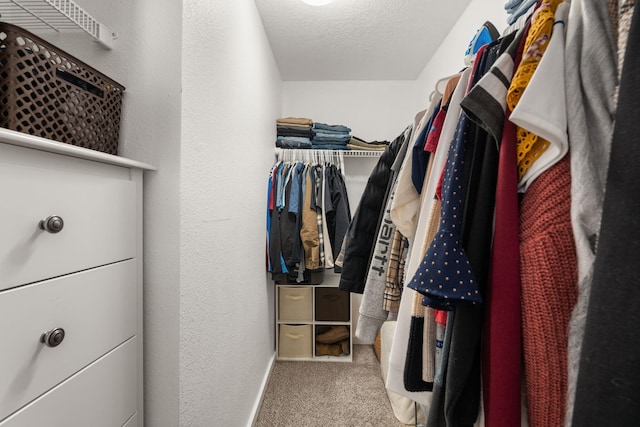 spacious closet featuring carpet floors