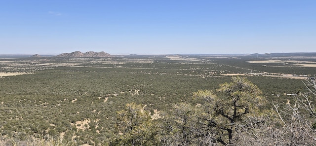 LOT6 Crow Bait Trl, Corona, NM 88318 - photo 1