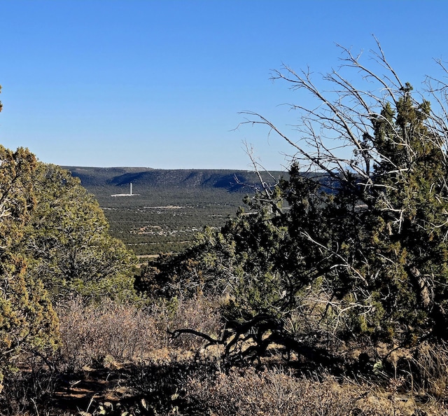 Listing photo 2 for LOT6 Crow Bait Trl, Corona NM 88318