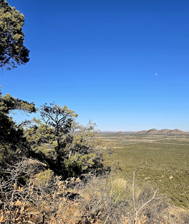 LOT6 Crow Bait Trl, Corona, NM 88318 - photo 2