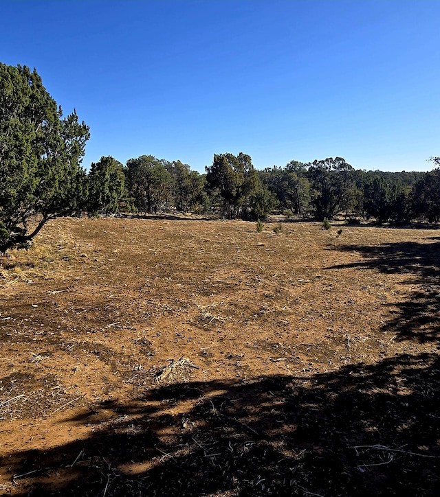 Listing photo 3 for LOT6 Crow Bait Trl, Corona NM 88318