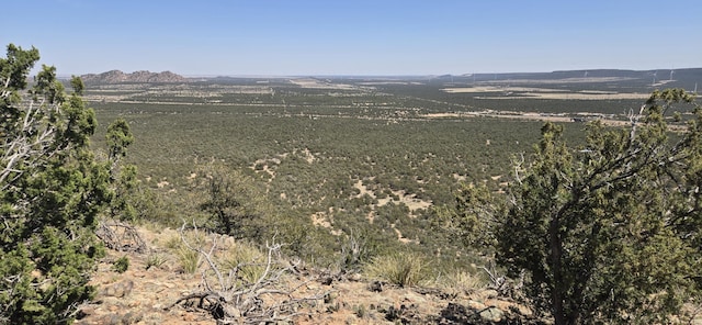 LOT6 Crow Bait Trl, Corona, NM 88318 - photo 3