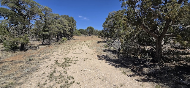 LOT6 Crow Bait Trl, Corona, NM 88318 - photo 9