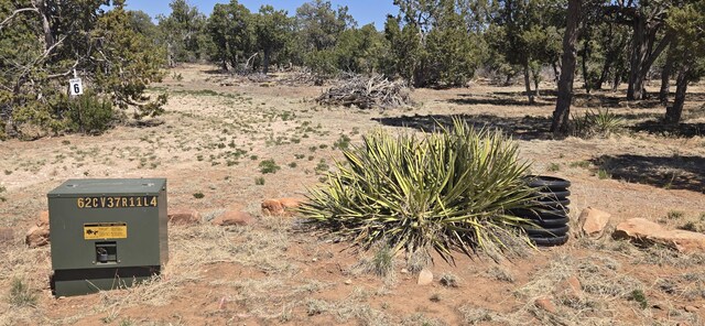 LOT6 Crow Bait Trl, Corona, NM 88318 - photo 8