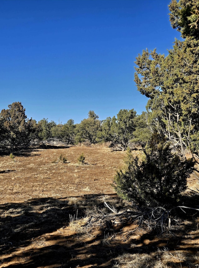 LOT6 Crow Bait Trl, Corona, NM 88318 - photo 7