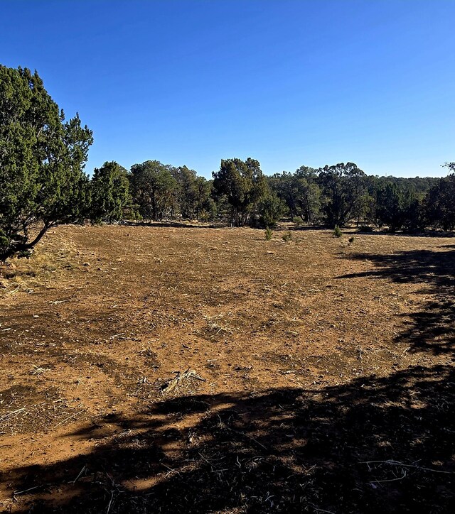 LOT6 Crow Bait Trl, Corona, NM 88318 - photo 6