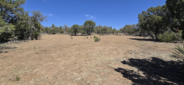 LOT6 Crow Bait Trl, Corona, NM 88318 - photo 5