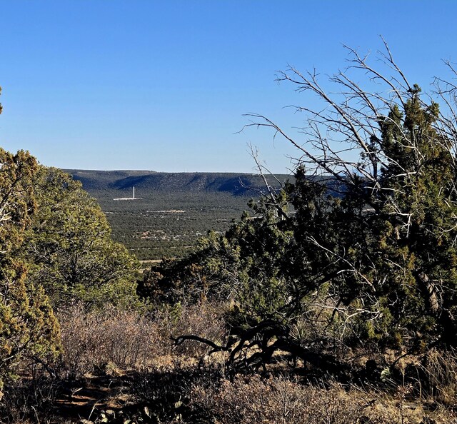 LOT6 Crow Bait Trl, Corona, NM 88318 - photo 4