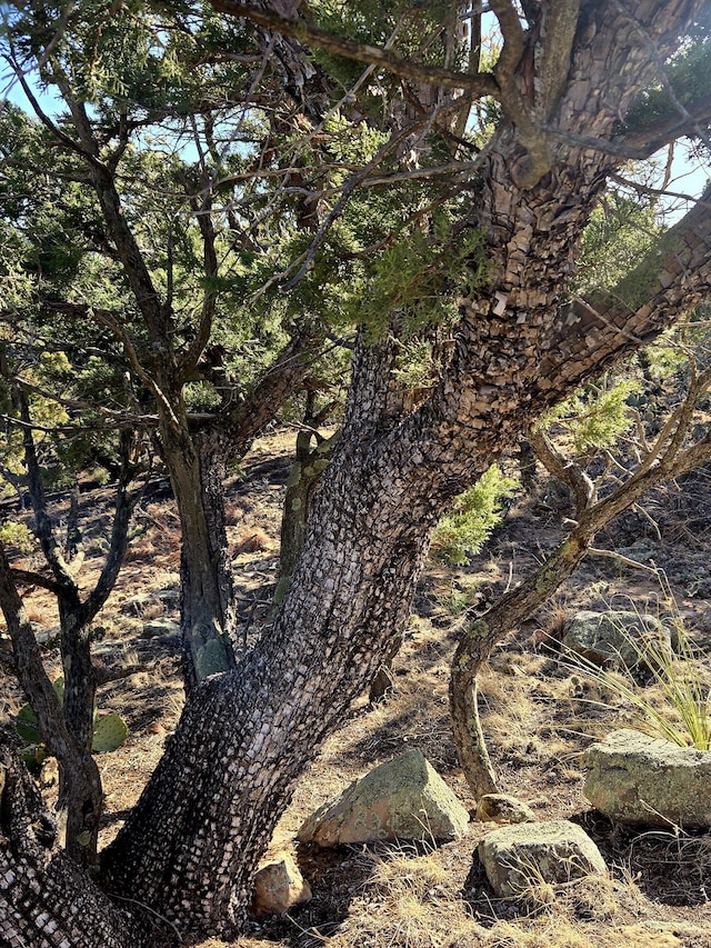 LOT6 Crow Bait Trl, Corona, NM 88318 - photo 14