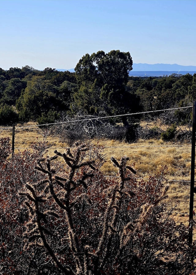 LOT6 Crow Bait Trl, Corona, NM 88318 - photo 13