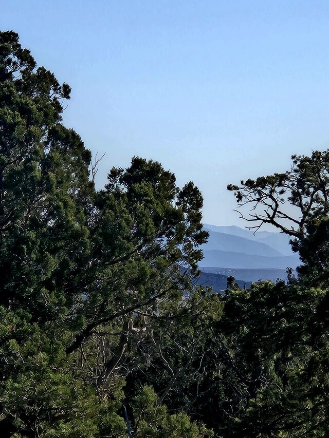 LOT6 Crow Bait Trl, Corona, NM 88318 - photo 12