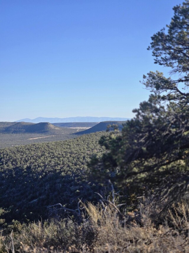 LOT6 Crow Bait Trl, Corona, NM 88318 - photo 11