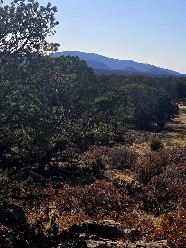LOT6 Crow Bait Trl, Corona, NM 88318 - photo 10