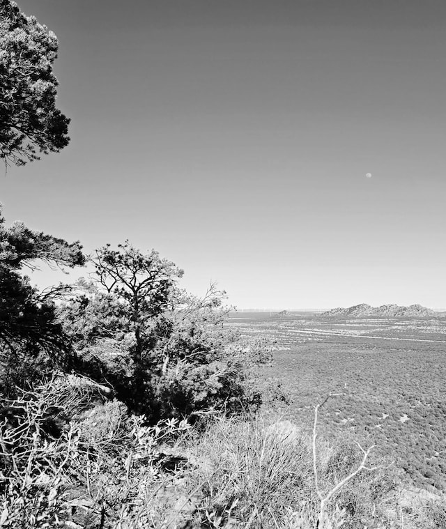 LOT6 Crow Bait Trl, Corona, NM 88318 - photo 18