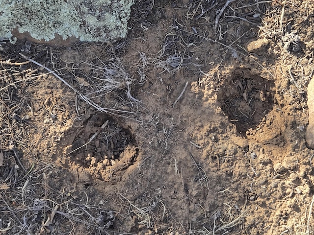 LOT6 Crow Bait Trl, Corona, NM 88318 - photo 16
