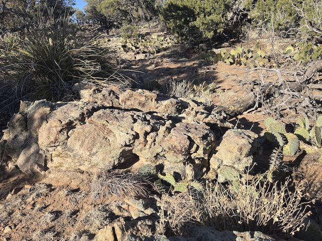 LOT6 Crow Bait Trl, Corona, NM 88318 - photo 15