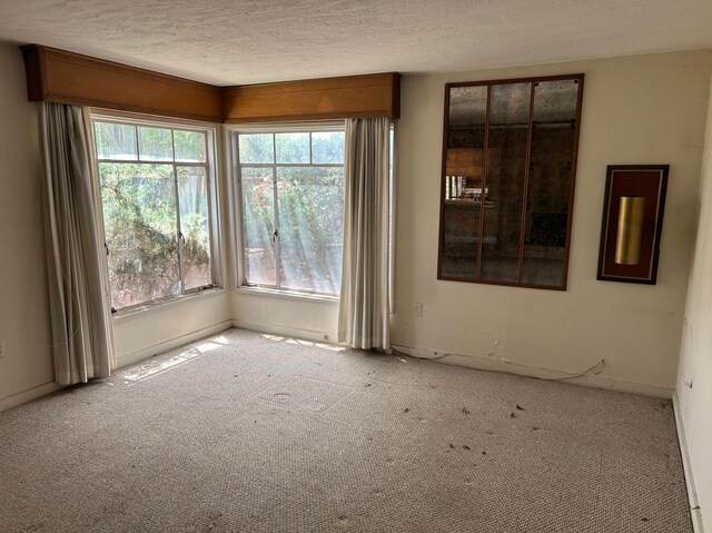 1013 Washington St SE, Albuquerque, NM 87108 - photo 19