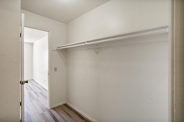 spacious closet featuring light wood-style floors