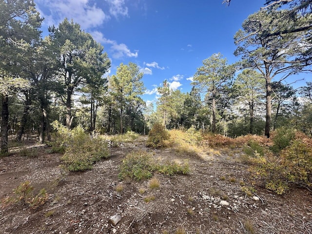 21 Bobolink Ln, Tijeras NM, 87059 land for sale