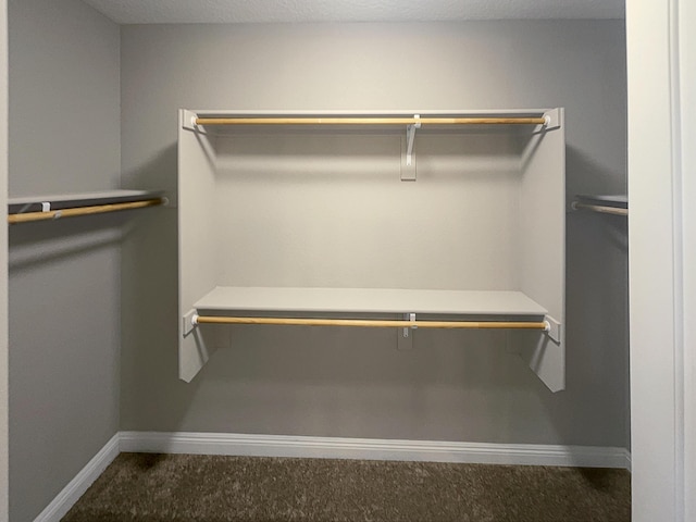 walk in closet with carpet floors