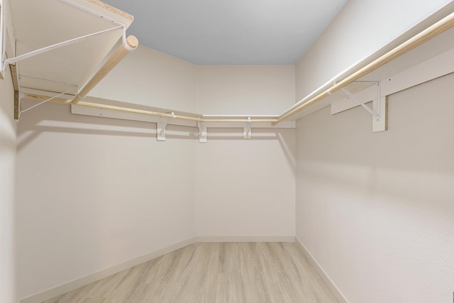 walk in closet featuring wood finished floors