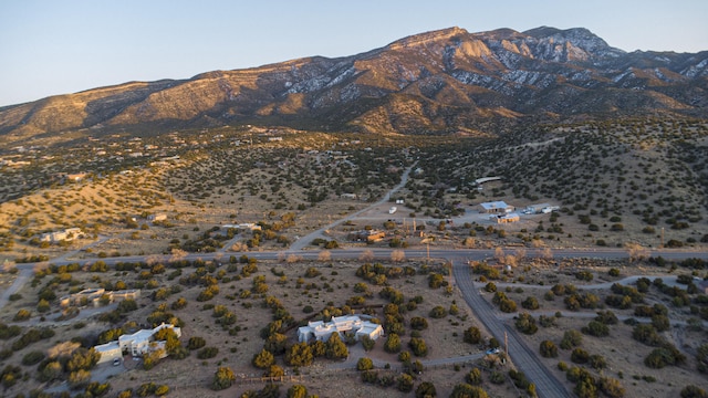 view of mountain feature