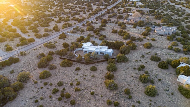 bird's eye view with view of desert