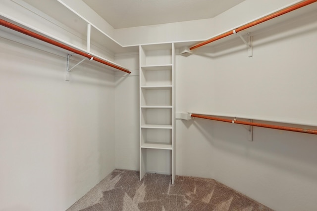 spacious closet featuring carpet