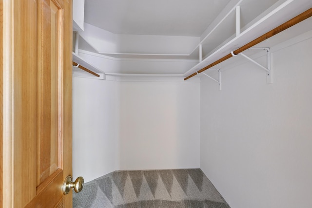 spacious closet featuring carpet floors