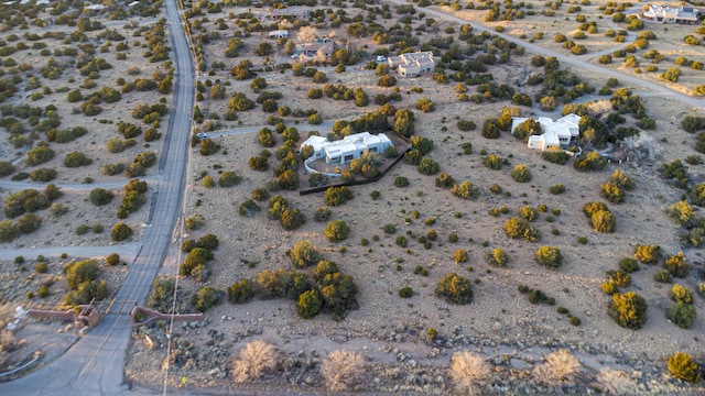 drone / aerial view featuring a desert view