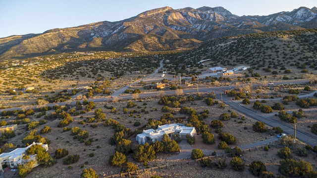 drone / aerial view featuring a mountain view