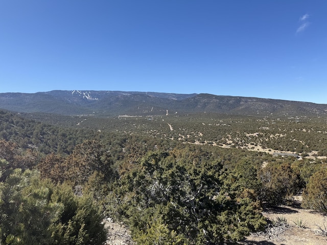 36 Prado, Sandia Park NM, 87047 land for sale