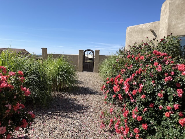 view of yard featuring a gate