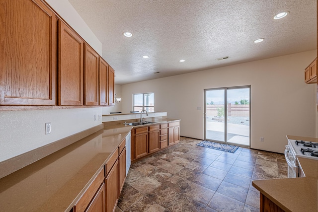 kitchen featuring a sink, visible vents, white appliances, and a healthy amount of sunlight