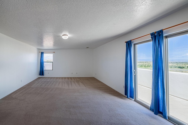 carpeted empty room with a textured ceiling