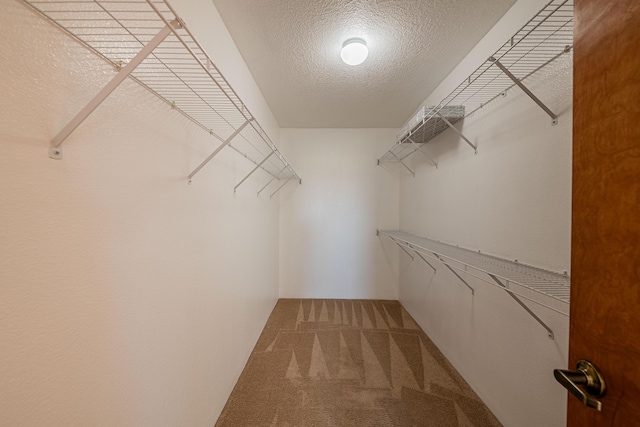 walk in closet with carpet flooring