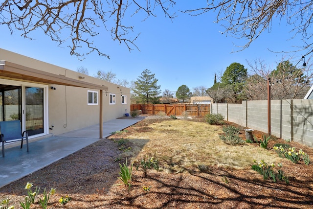 view of yard with a patio and a fenced backyard