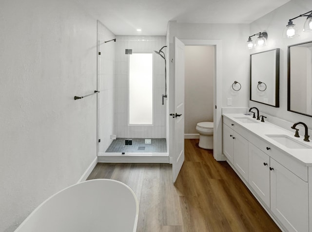 full bathroom featuring wood finished floors, a stall shower, and a sink