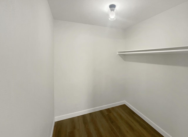 walk in closet with dark wood-style flooring