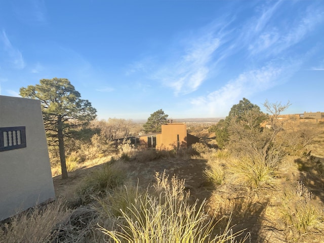 view of local wilderness