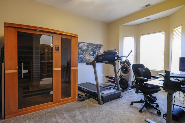 workout area with visible vents and carpet floors