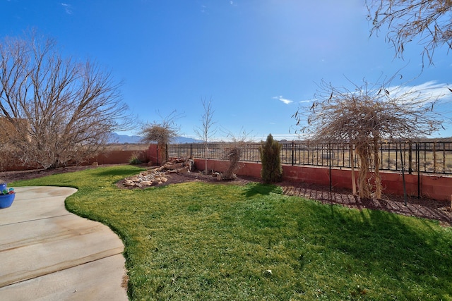 view of yard with a fenced backyard and a patio area