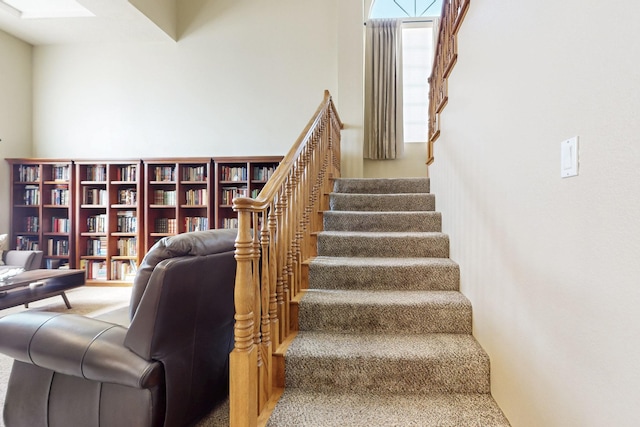 stairway featuring carpet