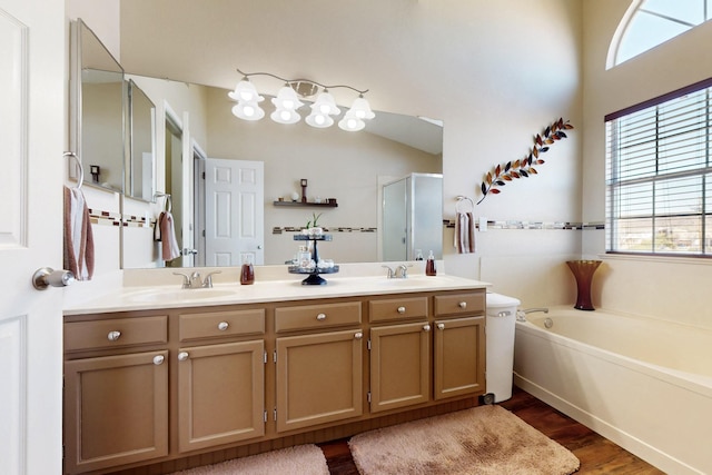 full bath with double vanity, a healthy amount of sunlight, wood finished floors, and a sink