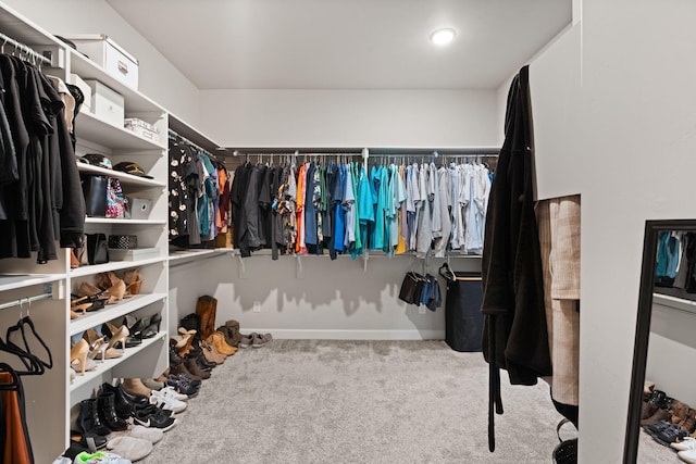 walk in closet featuring carpet flooring