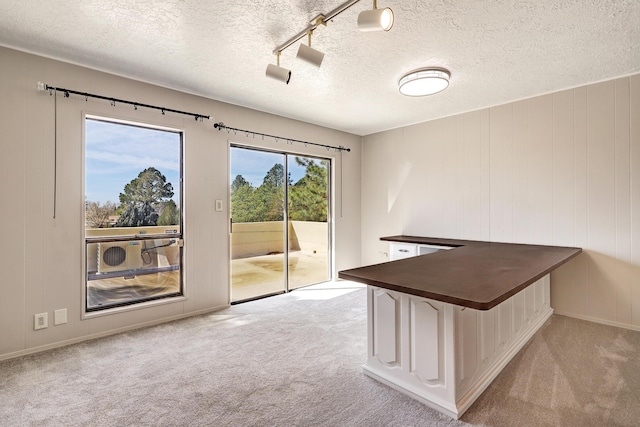 unfurnished office with light colored carpet and a textured ceiling