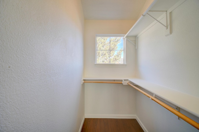 spacious closet with dark wood-type flooring