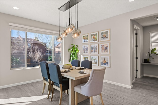 dining space featuring baseboards, a healthy amount of sunlight, and wood finished floors