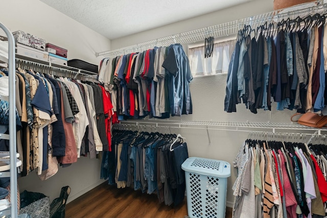 spacious closet featuring wood finished floors