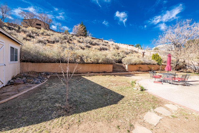 view of yard featuring a patio area